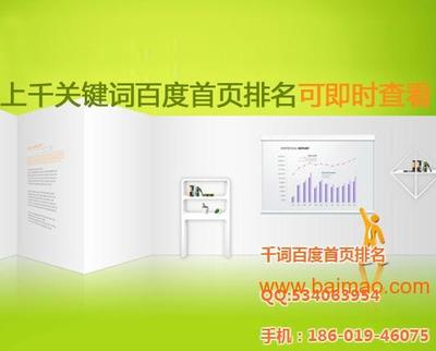 北京网站优化与网络营销推广 赋能中小企业线上增长新引擎